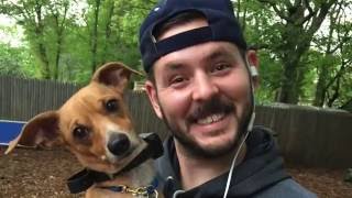 Download Lagu Long Island Dog Trainer: Owner Testimonial for Milo-Best Dog Trainers in NY Thumbnail