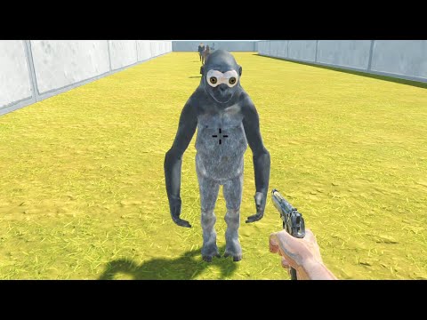 FPS DEATH RUN with ALL WEAPONS - ARBS - Animal Revolt Battle Simulator