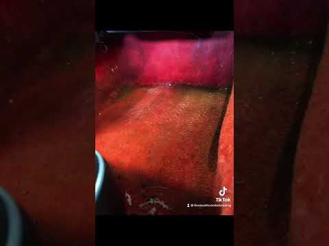 1976 Porsche 924 - Restoration Project 🙌 Before Photos 🫣