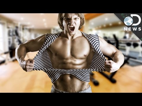 男性以外女性也有睪固酮？！你體內又有多少睪固酮呢？ 讓 DNews 解釋給你聽！(How Much Testosterone Do You Have?)