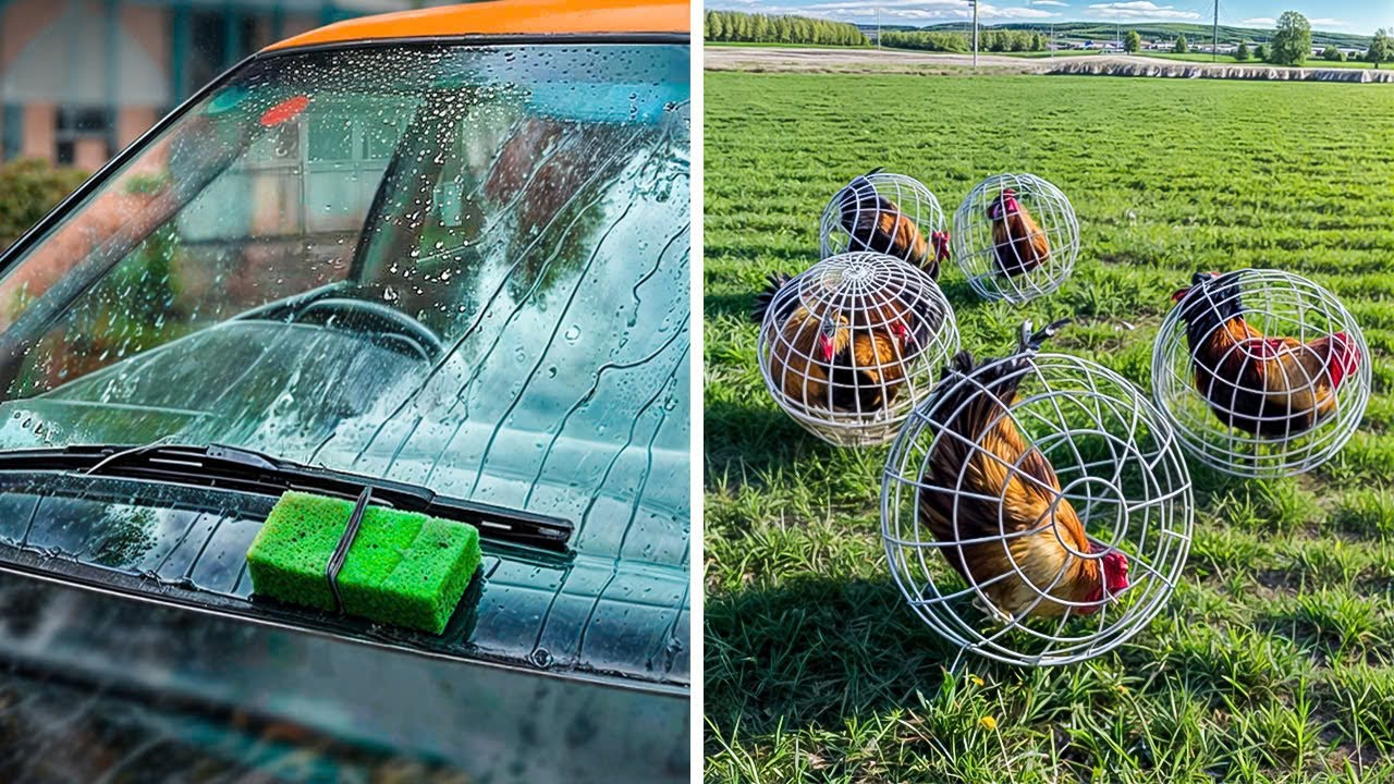 Genius LIFE HACKS You Won't Believe Actually Work!