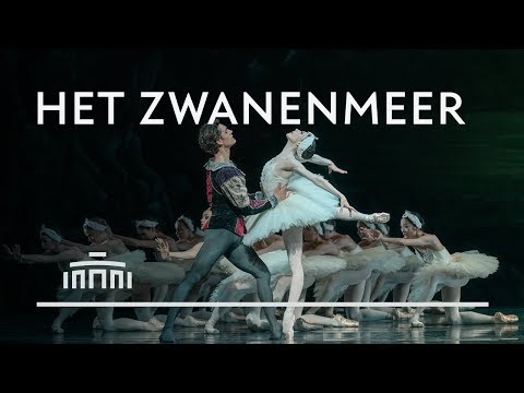 download lagu mp3 mp4 Nationaal Ballet Zwanenmeer, download lagu Nationaal Ballet Zwanenmeer gratis, unduh video klip Nationaal Ballet Zwanenmeer