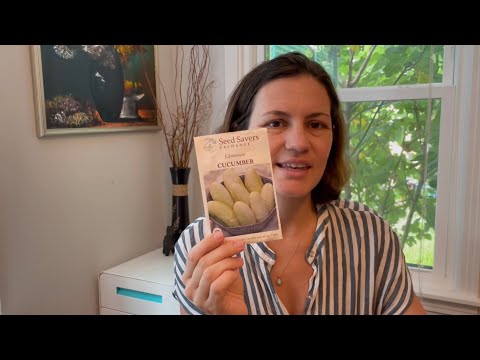 What to Plant in August & September in Texas (how to prepare for an high yield fall garden)