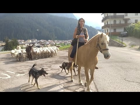 ARRIVO in montagna!! (BL)