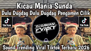 Download lagu KICAU MANIA SUNDA DULUG DUG DAG VERSI DANUL EL KHANZA PERMISI KAKAK KITA MAU NGAMEN VIRAL TIKTOK mp3