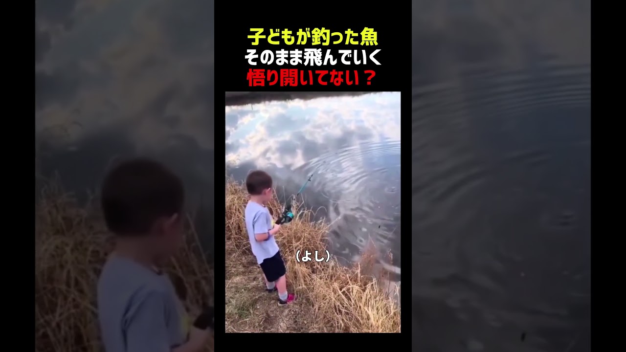 子供が釣った魚 そのまま飛んでいく