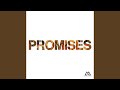 Promises (feat. Naomi Raine) (Radio Version)