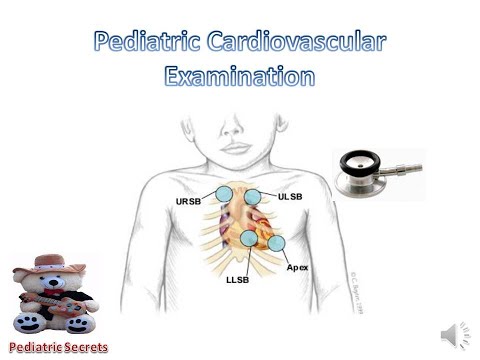 Pediatric Cardiovascular Examination