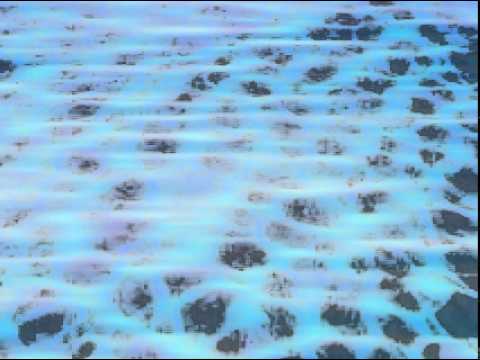 Neshi Futuro - Spinback (Heath Morris Remix)