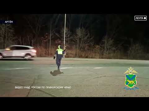 13 нарушителей ПДД за пьяную езду привлекли госавтоинспекторы на дорогах Артёма в ходе рейда