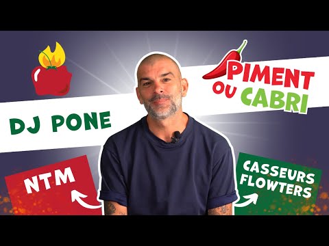 Dj Pone : NTM ou Casseurs Flowters ? - Interview Piment ou Cabri