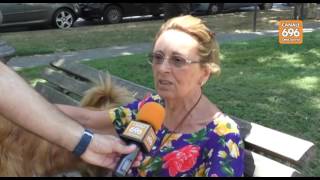 blatte-e-topi-in-citta-residenti-esasperati-siamo-stufi