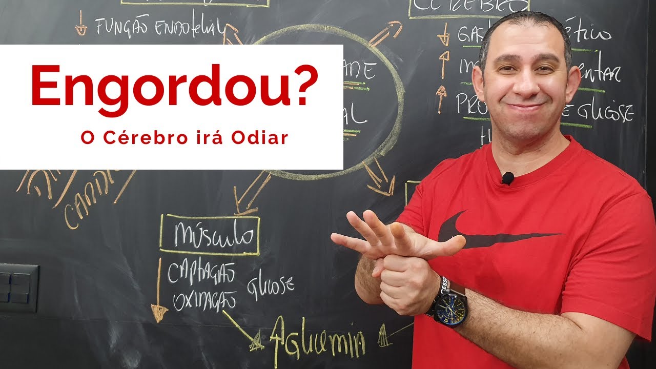 Como Desenvolve a Resistência a Insulina