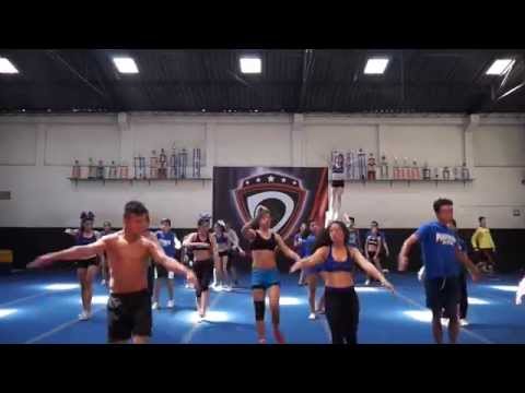 Platinum Snake All Stars NVL.4 2015