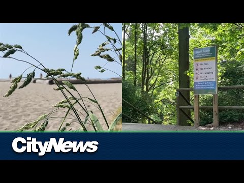 Wreck Beach-goers warn of non-consensual photos taken at nude beach