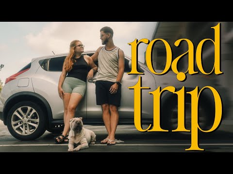 aast coast road trip: nyc to florida on the i-95 (philly, dc, buc-ee’s & savannah)