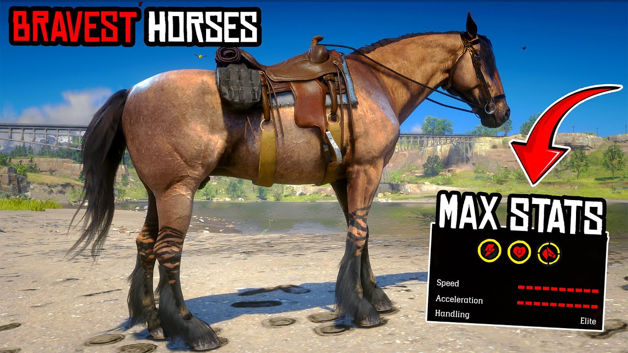 Top 4 BRAVEST Horse for John (Location & Rankings) - Red Dead Redemption 2