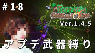 【テラリア】一級建築士が1.4.5を冒険 / アプデ武器縛り #18【Terraria / 配信 / 実況】