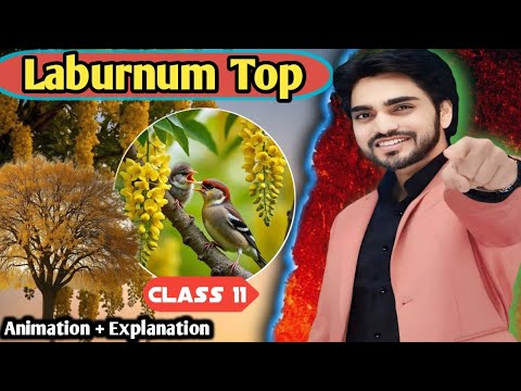 The Laburnum Top || Class 11 English || Poem  | Full Explanation By dear sir with summary Ques / ans