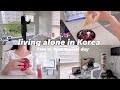 Living Alone in Korea | 7AM to 9PM typical office day VLOG | SunnyVlog산니