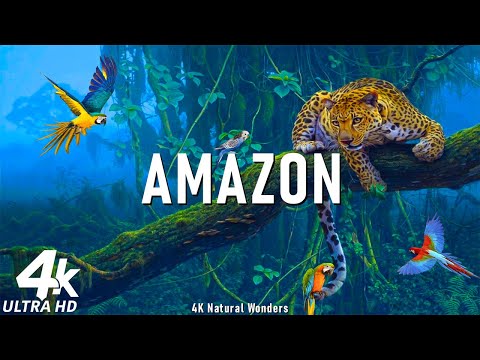 Amazon 4K - Scenic Relaxation Film mit inspirierender Musik
