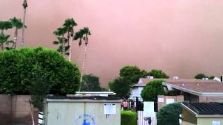 Birds fleeing before haboob hits Scottsdale