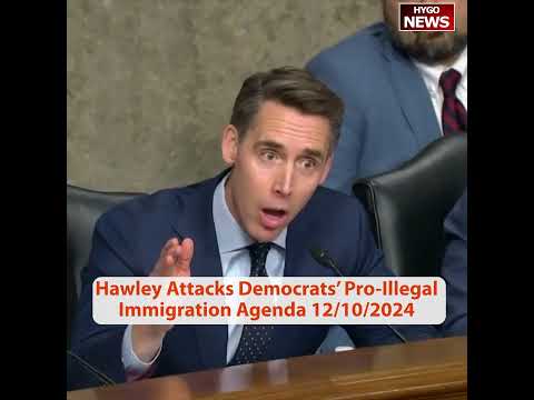 Hawley blasts Dem immigration lawyer at mass deportation hearing: amnesty 13M taking jobs from US