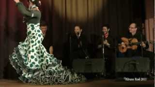 Flamenco Passion 4 (2012) version 2