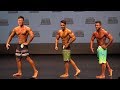 Fitness Ironman 2017 - Men's Physique (Overall)