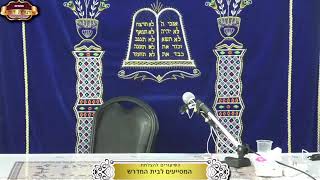 בית המדרש "תורת דוד" ¤ שידור חי ¤ ה' טבת תשפ"ו (25.12.2025) (מוסדות תורת דוד) - התמונה מוצגת ישירות מתוך אתר האינטרנט יוטיוב. זכויות היוצרים בתמונה שייכות ליוצרה. קישור קרדיט למקור התוכן נמצא בתוך דף הסרטון