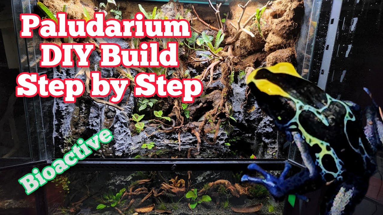 How To Build A Paludarium DIY In Depth Tutorial #paludarium #bioactive