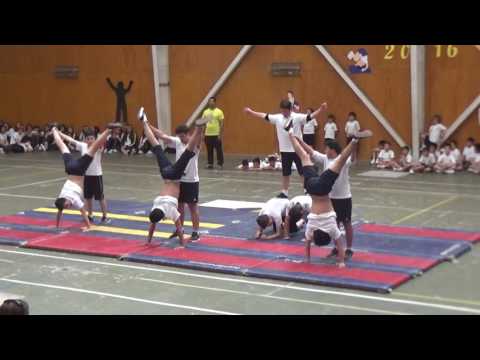 Revista de Gimnasia I° Medio B