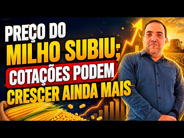 Preço do milho subiu; cotações podem crescer ainda mais.