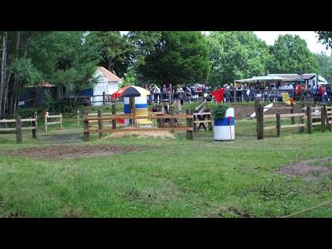 Fahrturnier Alfhausen 22.5.2022