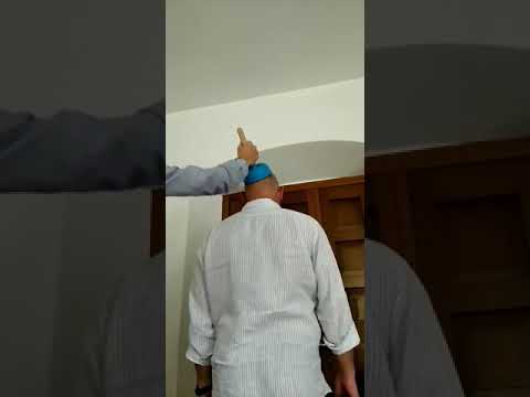 Das Plopp zum Sonntag