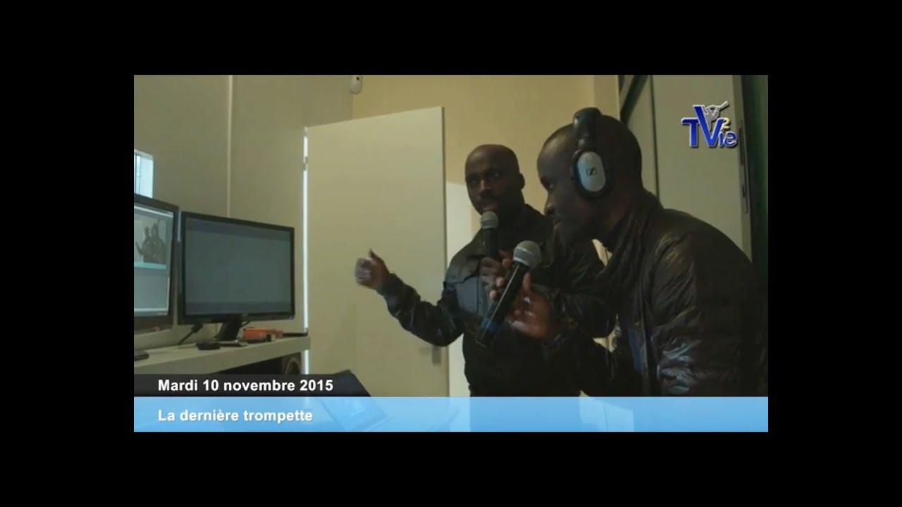 Thumbnail of video: Présentation de l'oeuvre à TV2VIE (10/11/15)