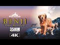 Benji The Hunted 1987 35MM Trailer 4K Walt Disney
