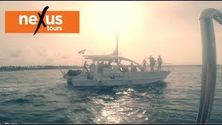 Catamaran PARTY Cruise by Nexus Tours Punta Cana