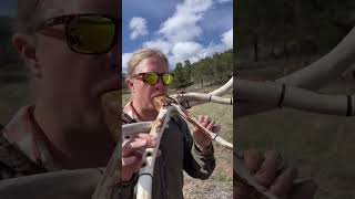 Download lagu Suara seruling ini terdengar begitu damai😇🦌 mp3 Download lagu Suara seruling ini terdengar begitu damai😇🦌 mp3