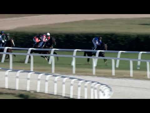 Gáblik Antal EV HP 1600m