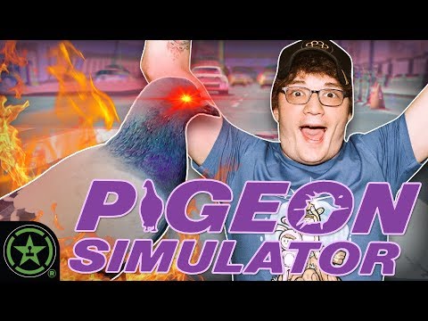 Play Pals - We're Pigeon Boys - Pigeon Simulator Video