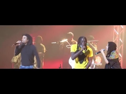 Thumbnail for Tiken Jah Fakoly (Guest Nneka & Patrice) - War Ina Babylon (Live) by Tiken Jah Fakoly