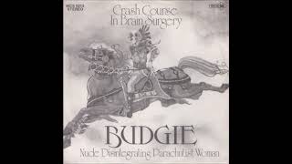 Budgie, Crash course in brain surgery, Single 1971