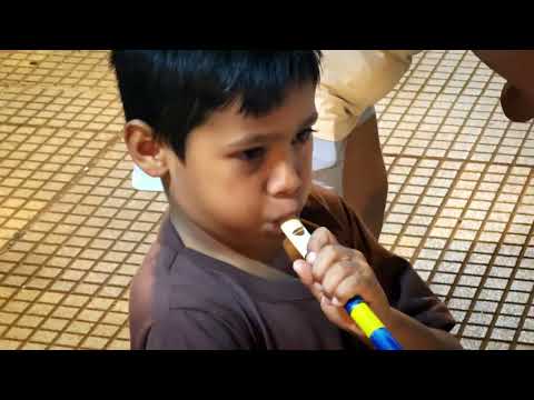 FERIA DE ARTESANOS / PLAZA SAN MARTIN Puerto Iguazú, Misiones