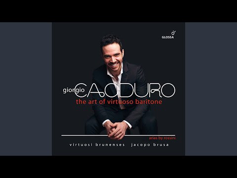 Il signor Bruschino: Nel teatro del gran mondo