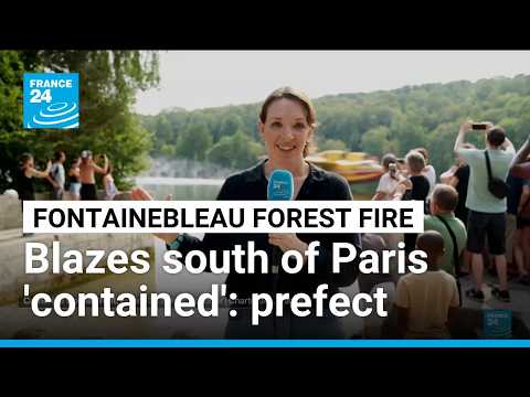 Fontainebleau forest fires: blazes south of Paris 'contained' but not extinguished, prefect says