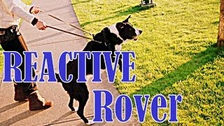 Reactive Rover- How to eliminate embarrassing behaviour