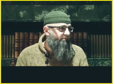 Dr. Safet Kuduzovic lijep govor o domovini Bosni