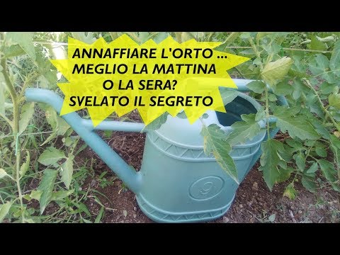 Ha detto un pene piccolo Ingrandimento del pene rimedi popolari forum