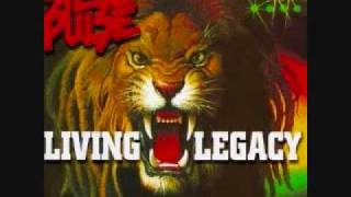 Steel Pulse - Black Enough (Living Legacy)